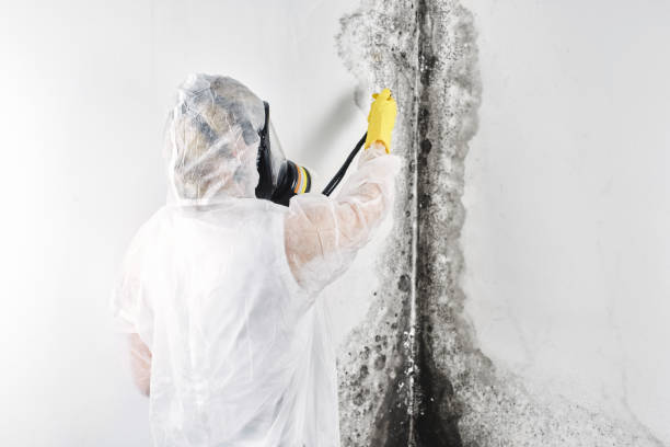 Water damage restoration experts in Corona De Tucson, AZ