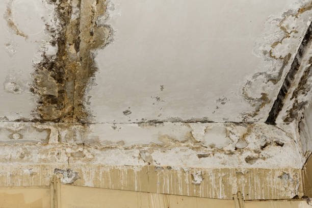 Step-by-Step Water Damage Restoration Procedure